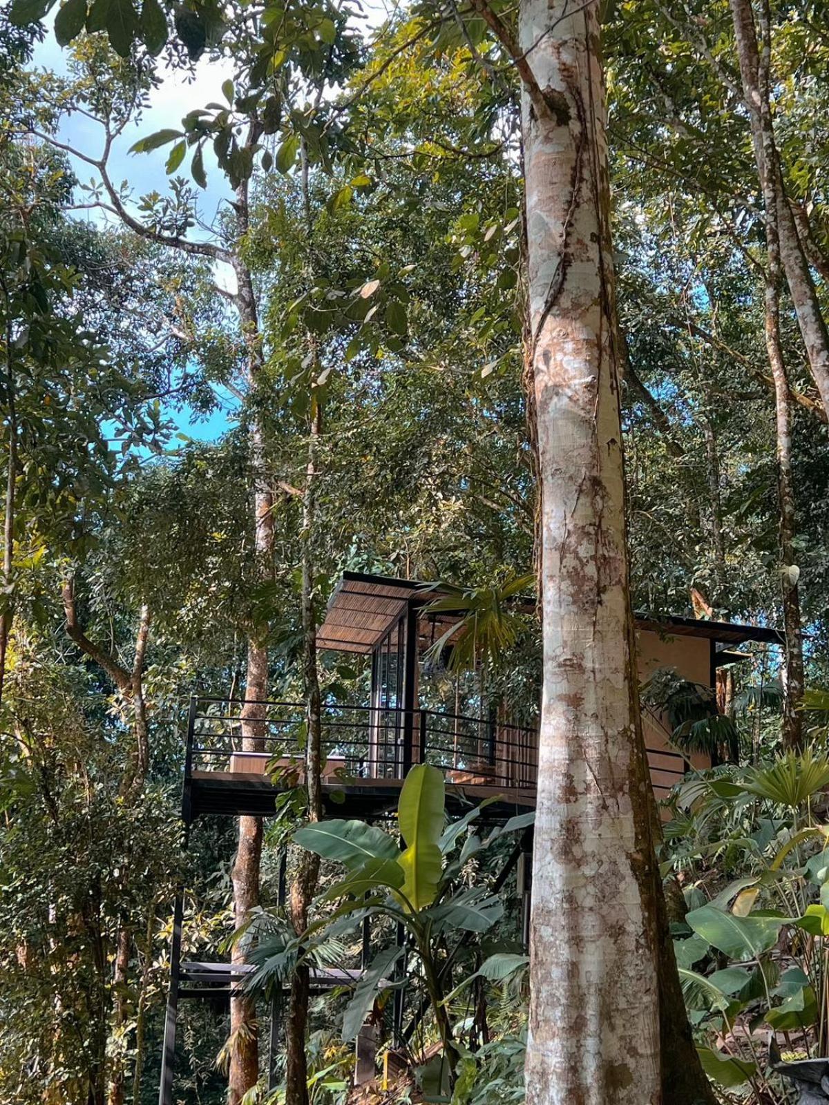 Rincon De La Sierra Minca Hotel Kültér fotó