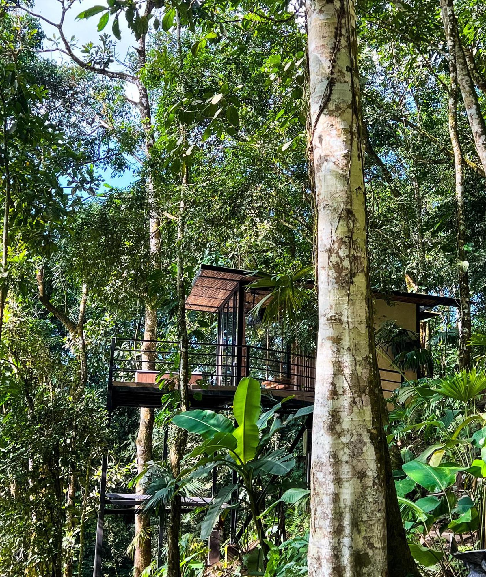 Rincon De La Sierra Minca Hotel Kültér fotó